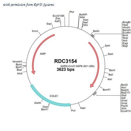 R&D Systems RDC3154 image 1