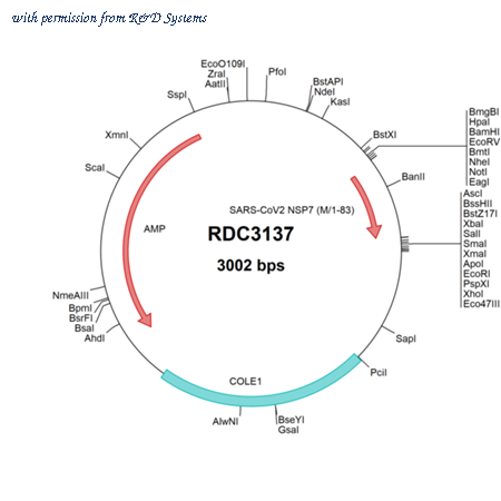 R&D Systems RDC3137 image 1