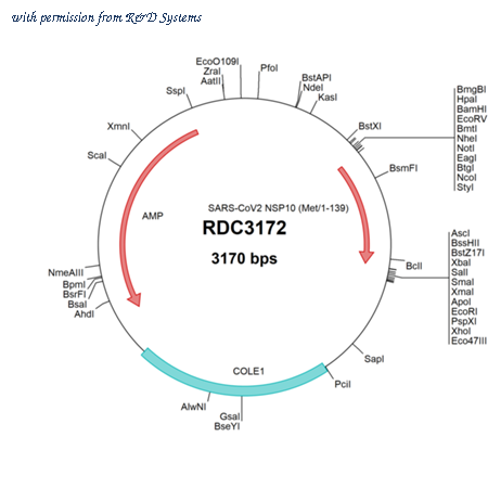 R&D Systems RDC3172 image 1