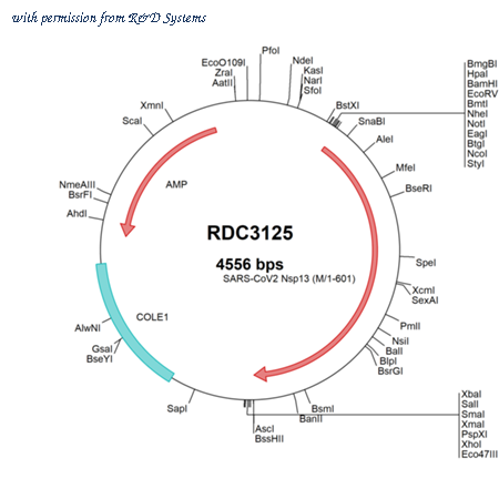 R&D Systems RDC3125 image 1