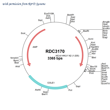 R&D Systems RDC3170 image 1