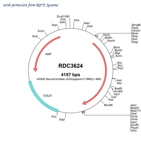 R&D Systems RDC3624 image 1
