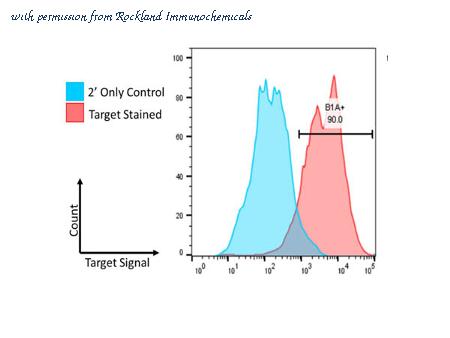Rockland Immunochemicals 600-401-MH1S image 1