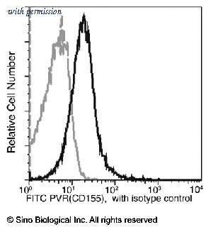 Sino Biological 50259-R305-F image 1