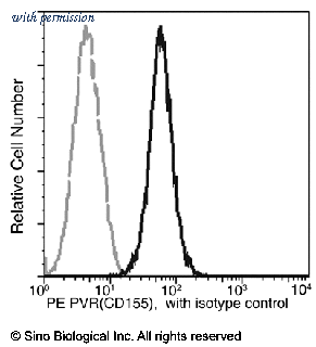 Sino Biological 50259-R305-P image 1