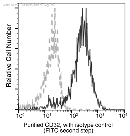 Sino Biological 90014-R046 image 1
