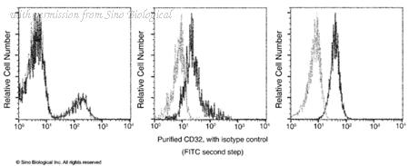 Sino Biological 10374-MM01 image 1