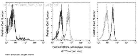 Sino Biological 10374-MM02 image 1