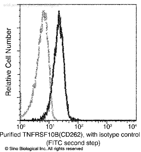 Sino Biological 10465-R102 image 1