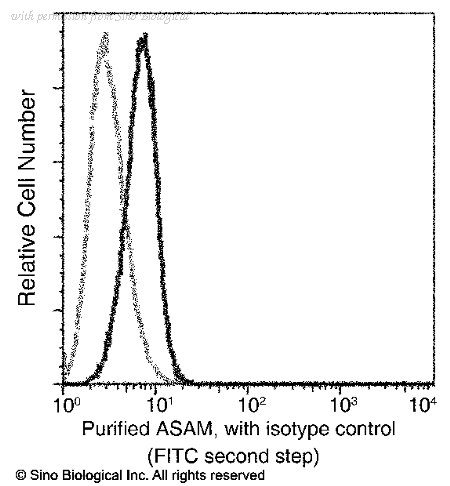 Sino Biological 10794-MM05 image 1