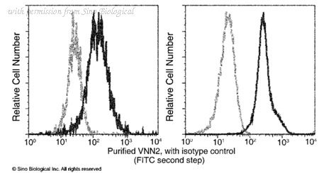 Sino Biological 11728-MM04 image 1