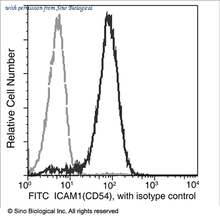 Sino Biological 10346-MM01-F image 1