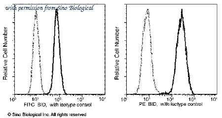 Sino Biological 10468-MM10-F image 1