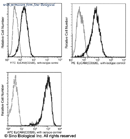 Sino Biological 10694-MM06-F image 1