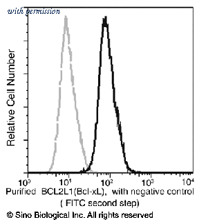 Sino Biological 10455-MM07 image 1