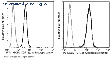 Sino Biological 13066-R024-F image 1