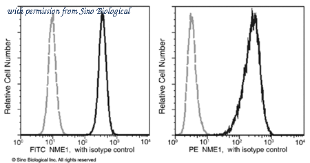 Sino Biological 11615-MM01-F image 1