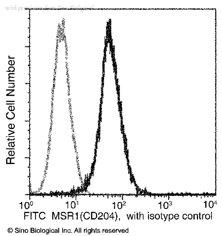 Sino Biological 50129-R004-F image 1