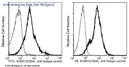 Sino Biological 50440-R009-P image 1