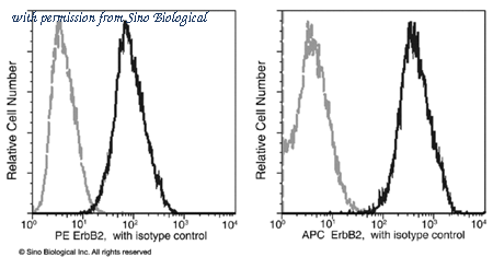 Sino Biological 10004-R511-P image 1