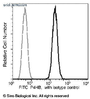 Sino Biological 10827-R016-F image 1