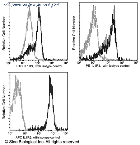 Sino Biological 10121-MM05-P image 1
