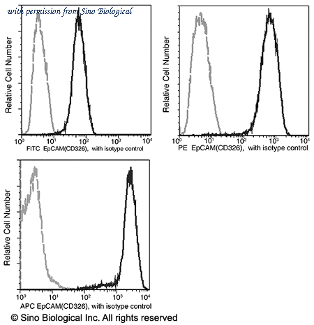 Sino Biological 10694-R028-P image 1