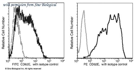 Sino Biological 10335-R103-P image 1