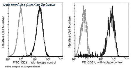Sino Biological 10148-MM13-P image 1