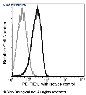 Sino Biological 10509-MM03-P image 1