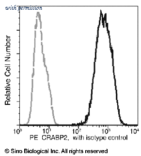 Sino Biological 11203-MM05-P image 1