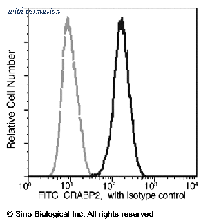 Sino Biological 11203-MM05-F image 1