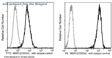 Sino Biological 50129-R004-P image 1