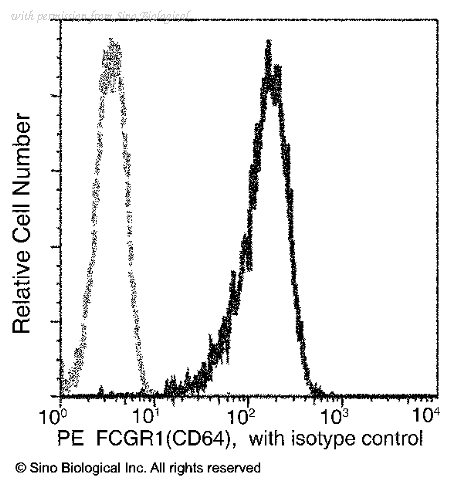 Sino Biological 50086-R027-P image 1