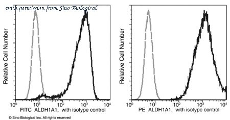 Sino Biological 11388-MM03-P image 1