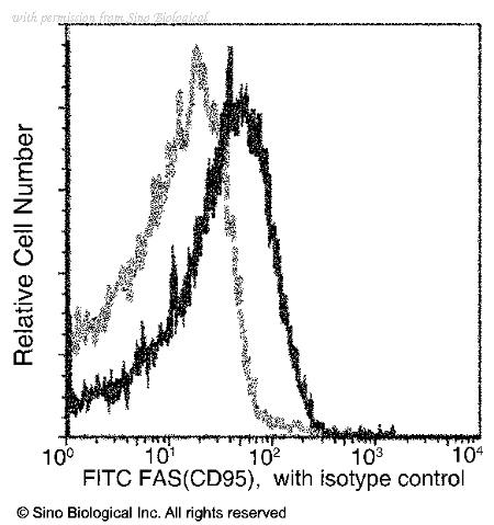 Sino Biological 50027-R004-F image 1