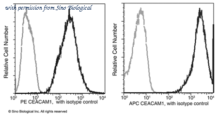 Sino Biological 10822-R103-P image 1