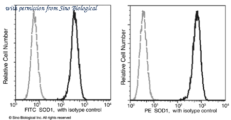 Sino Biological 11727-MM11-F image 1