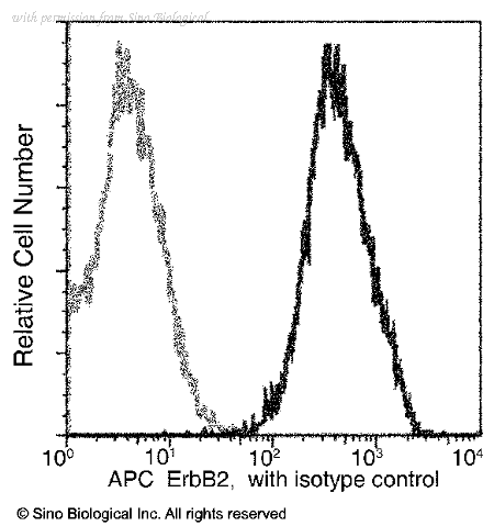Sino Biological 10004-R511-A image 1