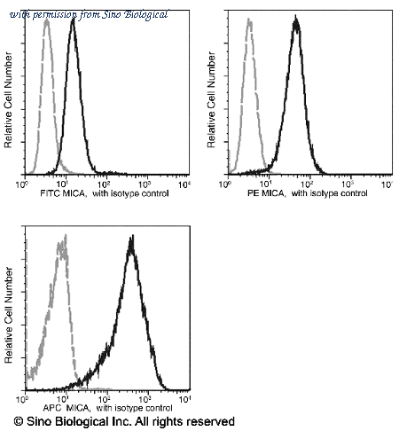 Sino Biological 12302-MM04-A image 1