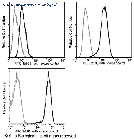 Sino Biological 10201-MM03-P image 1