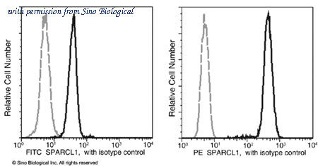 Sino Biological 10046-MM06-P image 1