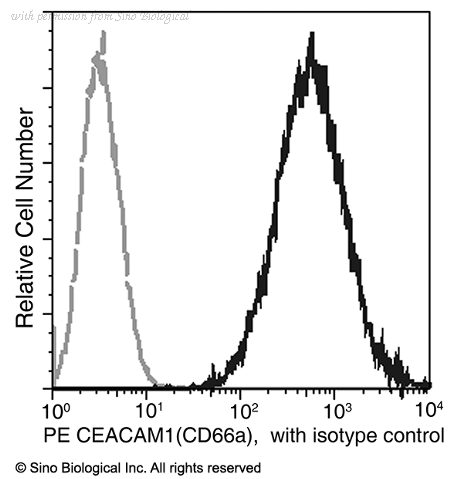 Sino Biological 10822-MM02-P image 1