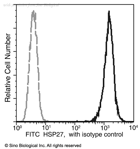 Sino Biological 10351-R155-F image 1