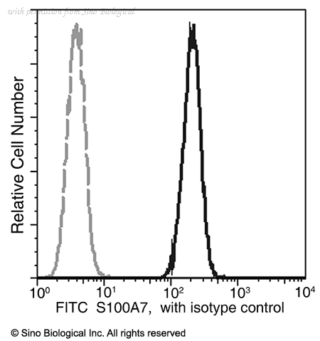 Sino Biological 11141-R128-F image 1