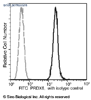 Sino Biological 11257-MM03-F image 1