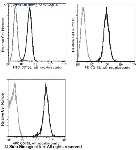 Sino Biological 10109-MM09-P image 1