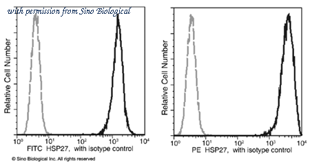 Sino Biological 10351-R155-P image 1