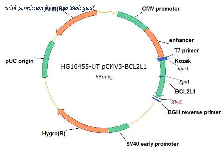 Sino Biological HG10455-UT image 1