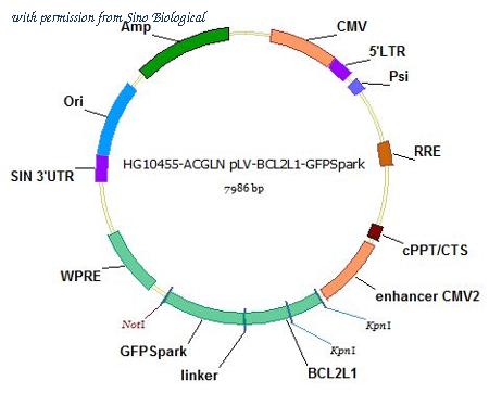 Sino Biological HG10455-ACGLN image 1